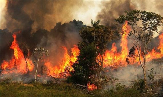 پشت پرده آتش‌سوزی در جنگل‌های ایران