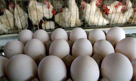 به صنعت خودرو به اندازه بازار تخم مرغ آزادی نمی‌دهند