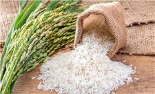 به دنبال بهبود وضعیت بازار برنج