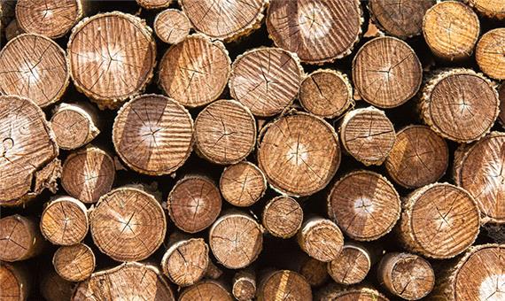 موج جدید گرانی برای ماشین آلات صنایع چوب