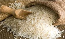 مدیر پایانه صادرات برنج آمل: قیمت برنج ایرانی به زودی کاهش می‌یابد