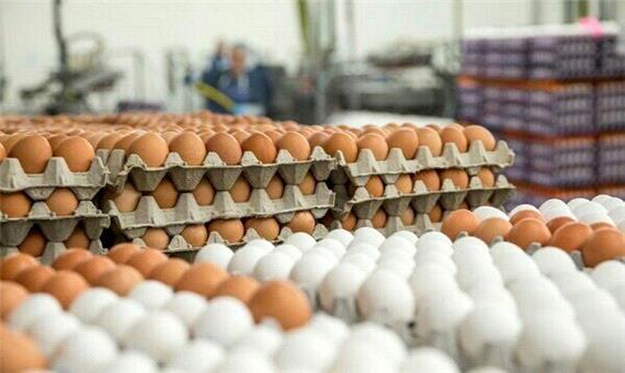 قیمت تخم مرغ همچنان 8 هزار و 500 تومان کمتر از نرخ مصوب