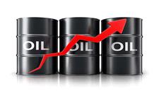 قیمت سبد نفتی اوپک از  110 دلار گذشت