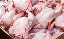 کشف بیش از 3 هزار کیلوگرم مرغ احتکاری درکرج