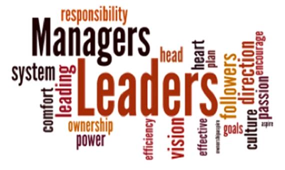 تفاوتهای مدیریت و رهبری در سازمان چیست؟