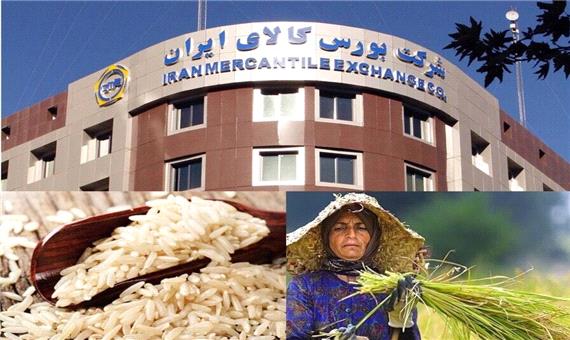 عرضه ارقام مختلف برنج در بورس کالا فراگیر می‌شود