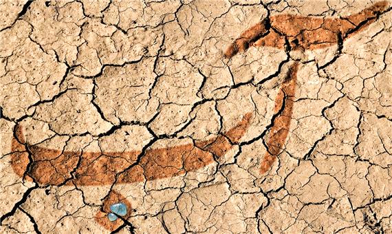 تأثیر خشکسالی بر رشد اقتصادی جهان