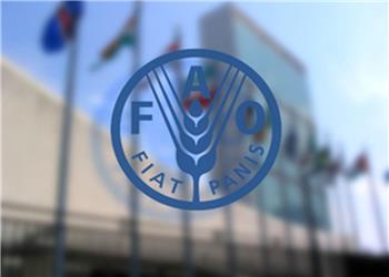 شاخص قیمت مواد غذایی فائو در ژانویه کاهش یافت