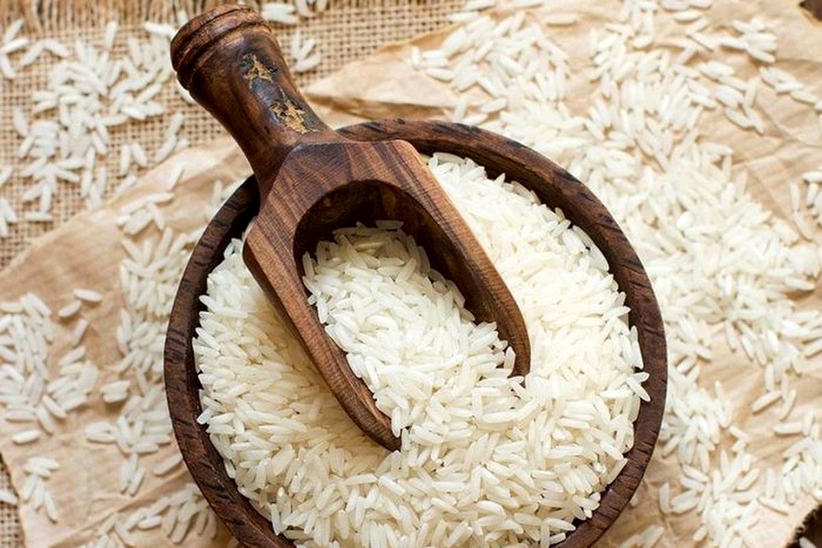 واکنش نماینده بابل به ادعای  کمبود برنج در کشور/ تلاش دارند فضایی از نگرانی و تشنج در میان مردم ایجاد کنند