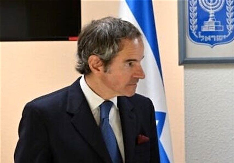 بازگشت دوباره آلمان به انرژی هسته‌ای/ گروسی: برلین انگیزه‌های پنهان دارد!