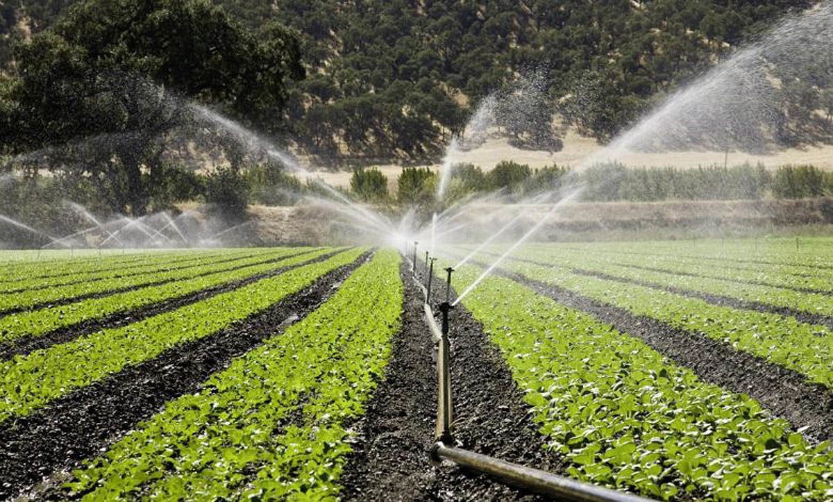 تناقض مزمن در کشاورزی انرژی‌بر