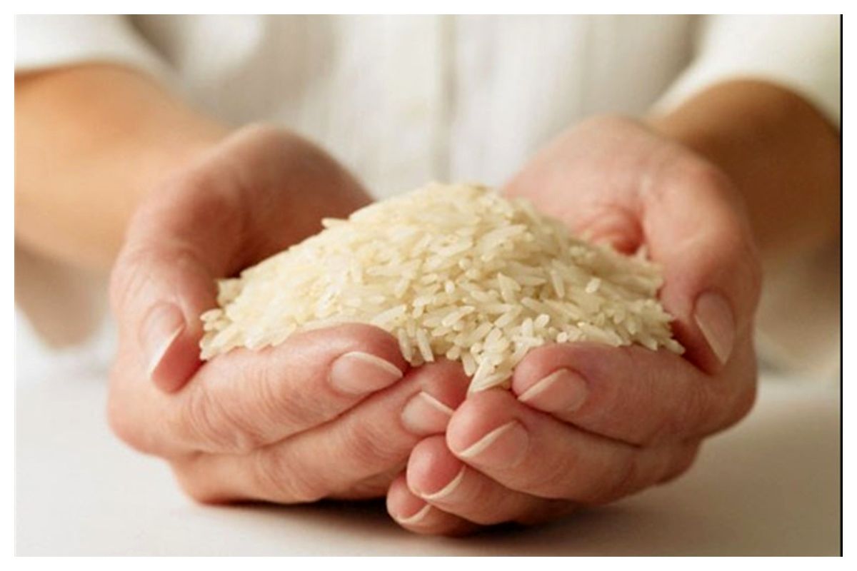 دولت با ۷۴ هزار تن برنج وارداتی به جنگ گرانی رفت/محموله بزرگ برنج به کشور رسید