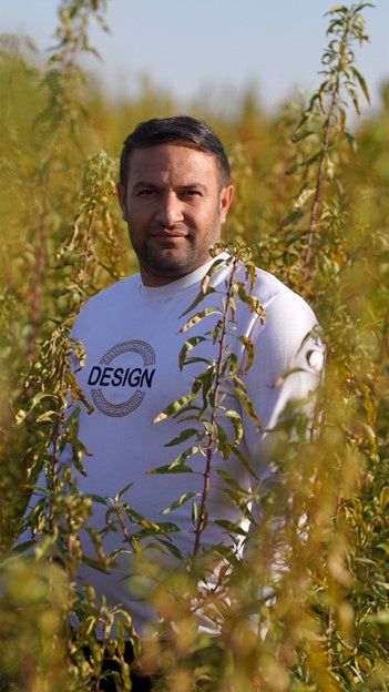 با نهال بادام بحران بی آبی را پشت سر بگذارید و به سود از باغداری برسید