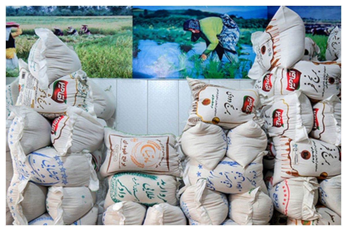 تشدید نظارت بر بازار برنج؛ با متخلفان برخورد جدی می شود