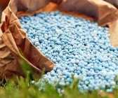 برآورد اثر مثبت و ۵۰۰ میلیارد تومانی معافیت مالیاتی کود اوره بر عملکرد "خراسان"