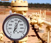 افت ۸۰ درصدی ظرفیت دو بخش تولیدی "شپدیس" از دیروز