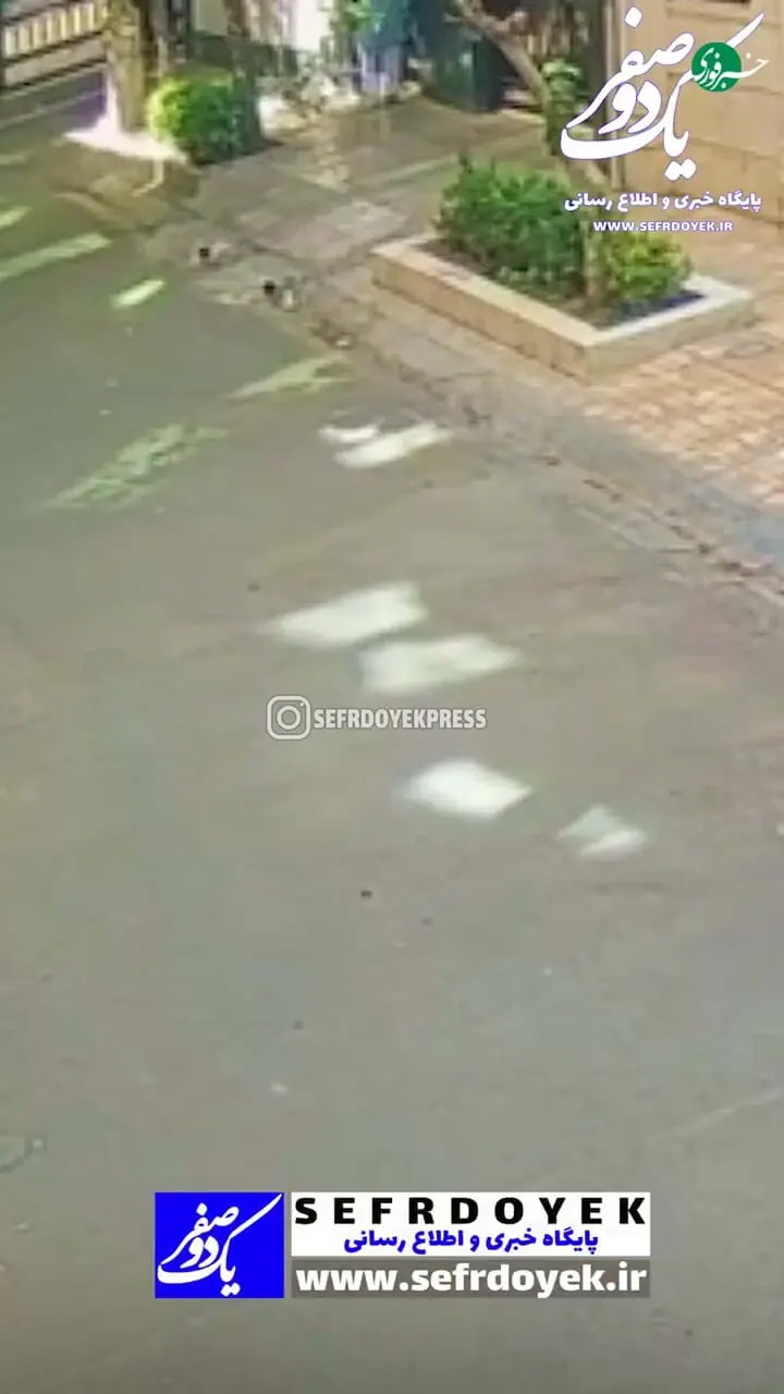 تصاویری از زورگیری از خانم باردار در محله نارمک+ فیلم