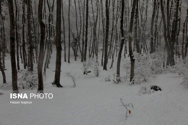 تداوم خشکسالی در کشور/ افزایش ۱۱ درصدی آمار بارش ها هم کارساز نیست/تهران؛ کم‌بارش‌ترین استان شد