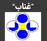 "غناب" با جهش ۲۱۷ درصدی برای هرسهم۴۱ ریال سود محقق کرد