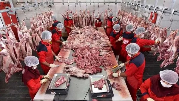 تهاتر گاز مایع ایران با واردات گوشت از پاکستان کلید خورد