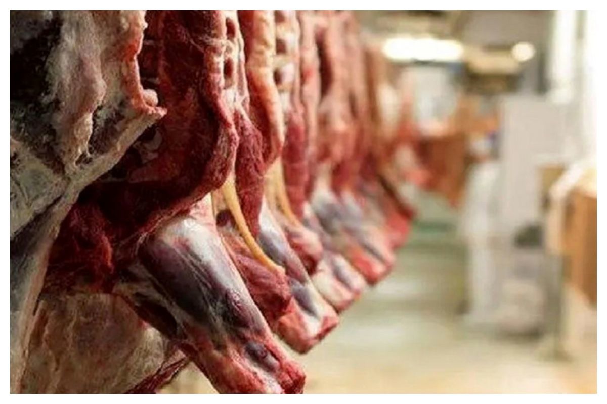 معامله عجیب ایران با کشورهای همسایه / صادرات گاز در مقابل گوشت قرمز