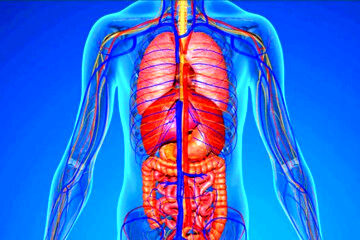 این ۵ نشانه در بدن  علامت خطر است