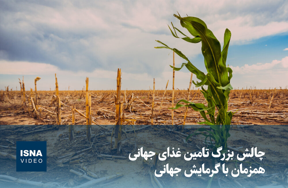 ویدیو/ چالش بزرگ تامین غذای جهانی همزمان با گرمایش جهانی