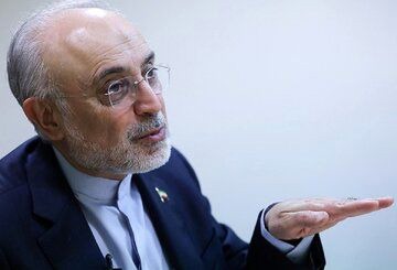 ارزیابی علی اکبر صالحی از مذاکره با آمریکا/ از گذشته خاطره خوشی نداریم/ نباید در داخل بوی تفرقه به مشام برسد