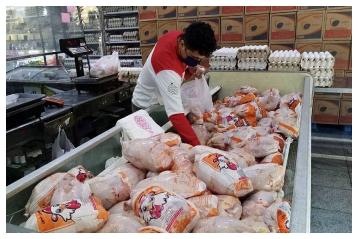 قیمت جدید مرغ اعلام شد+ جزئیات