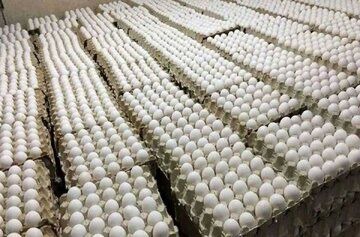 انتقاد روزنامه اصولگرا از ارزان شدن قیمت تخم مرغ/ جای خوشحالی ندارد/ یک ماه آینده نتایجش مشخص می شود!