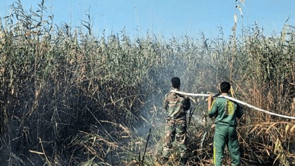عامل آتش‌سوزی در تالاب انزلی دستگیر شد