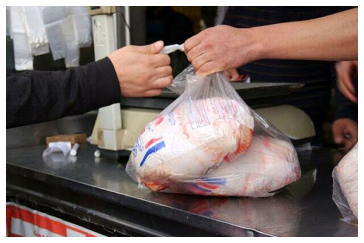 مرغ گران می‌شود؟