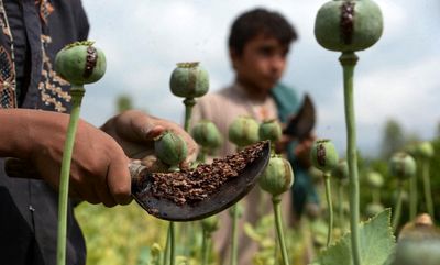 بازار آریا