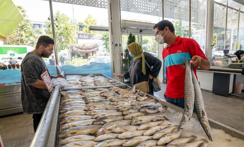 قیمت هر کیلو از این ماهی یک میلیون تومان شد