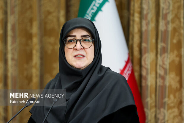 مهاجرانی: دولت به دنبال کاهش فشار ناترازی انرژی بر واحدهای تولیدی است