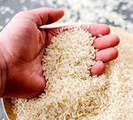 شرکت غذایی با سه هدف به خرید و فروش برنج ورود کرد