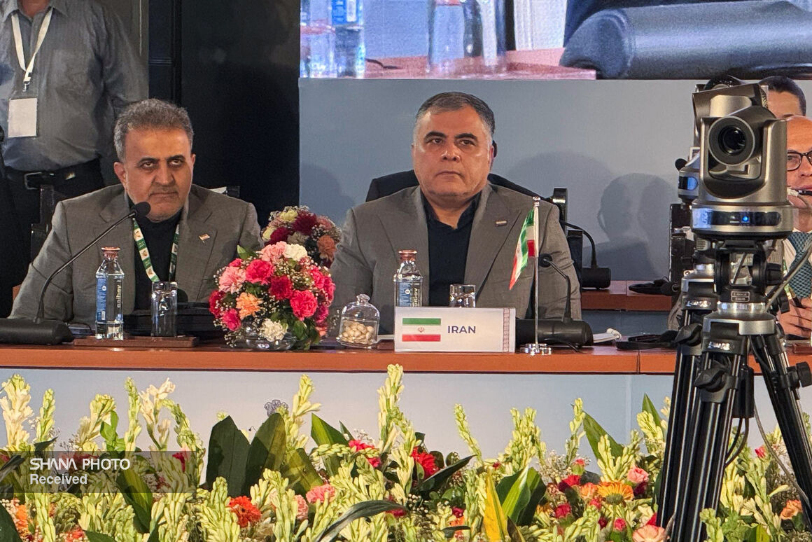 دیپلماسی چندجانبه در بستر بریکس