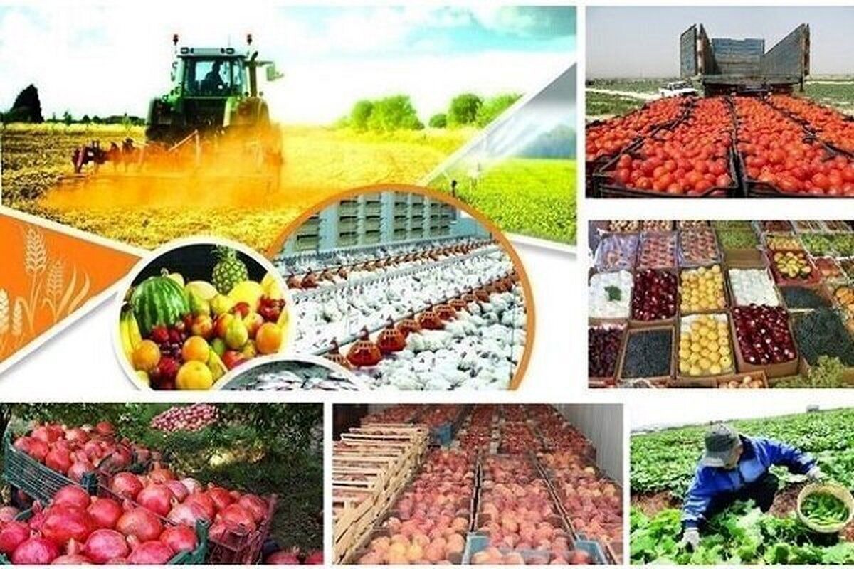 تحقق امنیت غذایی در گرو کاهش وابستگی بهواردات