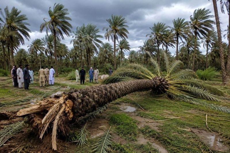 طوفان در این منطقه ایران قربانی گرفت+ جزئیات
