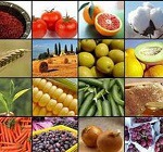 صادرات ۱۵ محصول کشاورزی آزاد شد + جدول