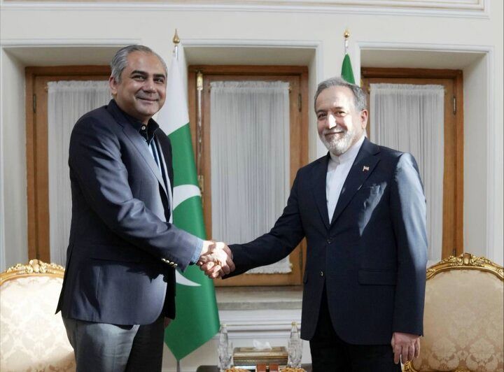وزیر کشور پاکستان با عراقچی دیدار و گفت‌وگو کرد+ عکس