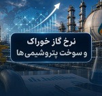 نرخ جدید خوراک به دو پتروشیمی دیگر ابلاغ شد/ اعلام آثار در عملکرد ۶ ماهه