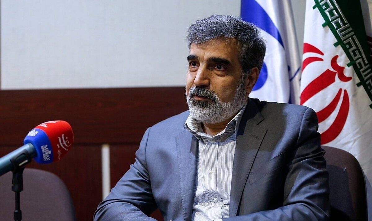 واکنش کمالوندی به عدم صدور روادید برای سفر اسلامی به وین/ باید در برابر زورگویی و فشار سیاسی ایستادگی کنیم