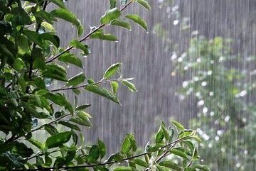صدور هشدار برای تهران/ باران، رعدوبرق و باد شدید در راه است
