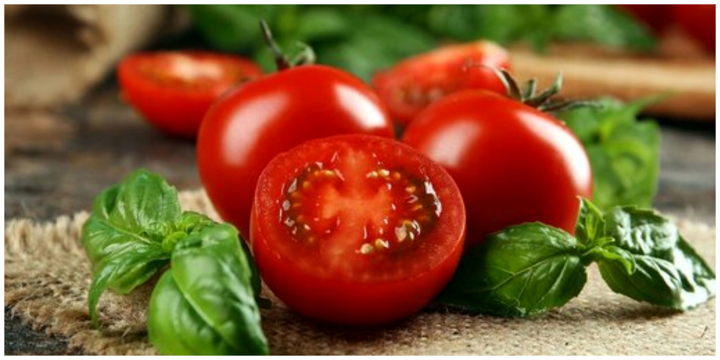 ممنوعیت صادرات گوجه فرنگی و پیاز برداشته شد+ جزئیات