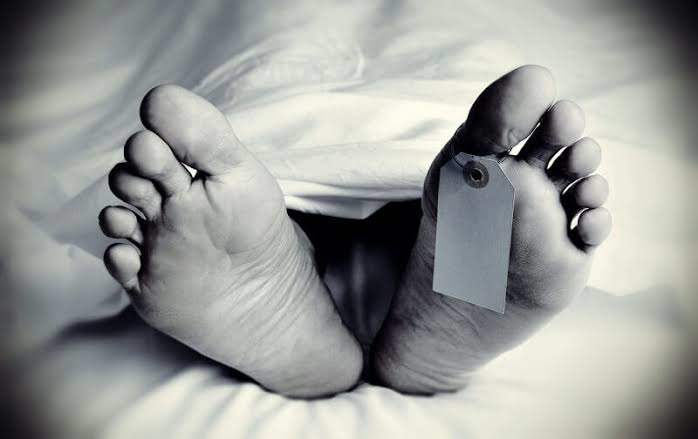برق‌گرفتگی حین گردوتکانی جان مرد ۴۷ ساله را گرفت